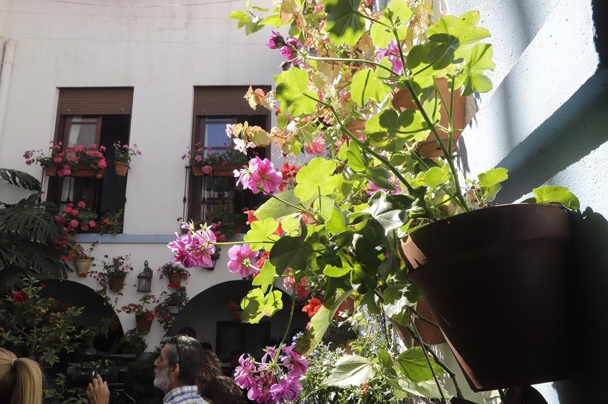 Demasiada calor está haciendo este año en los patios, lo que perjudica a sus plantas.