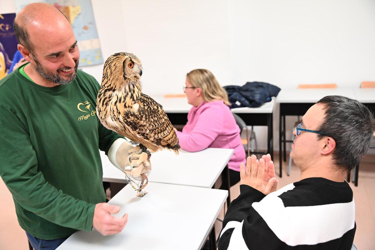 Terapia con aves rapaces para personas con diversidad funcional