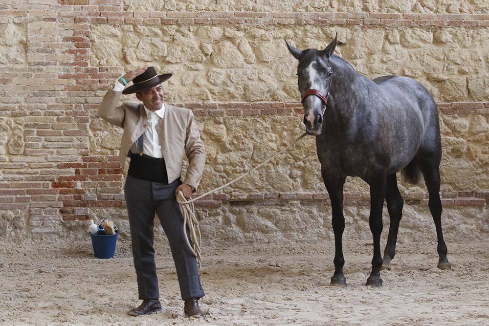 Fotogalería /  Primera jornada de Cabalcor.