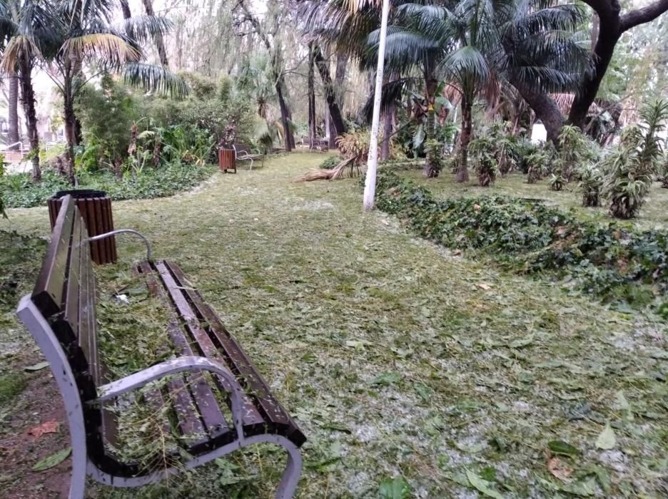 Daños en el Parque de la granizada.