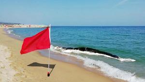 balena-morta-en-avanat-estat-de-descomposici-davant-la-costa-de-matarmeteocat-emergenciescat-creurojacat-mossos