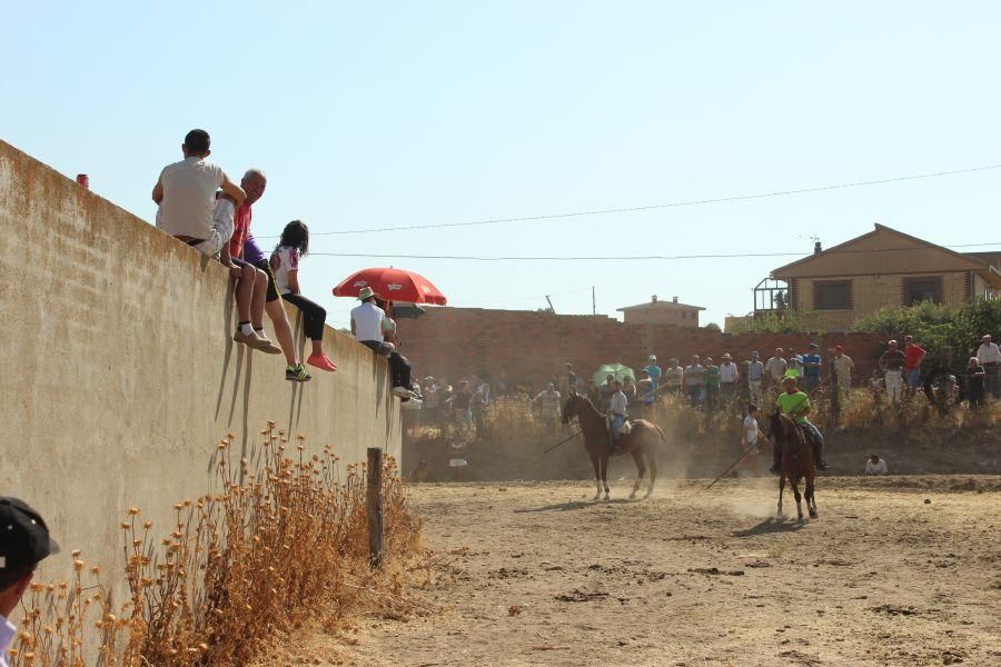 Fiestas en Zamora: Encierro en Argujillo