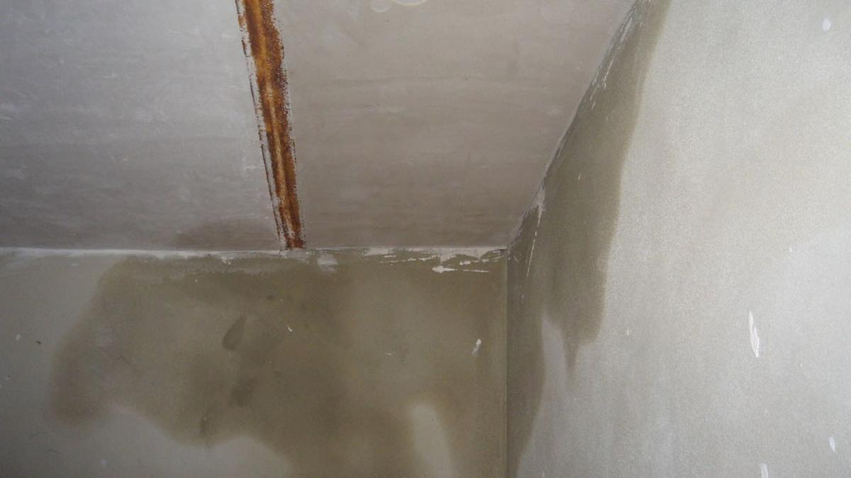 5373124984 133c17b658 b (1)