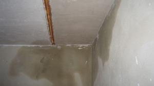 5373124984 133c17b658 b (1)