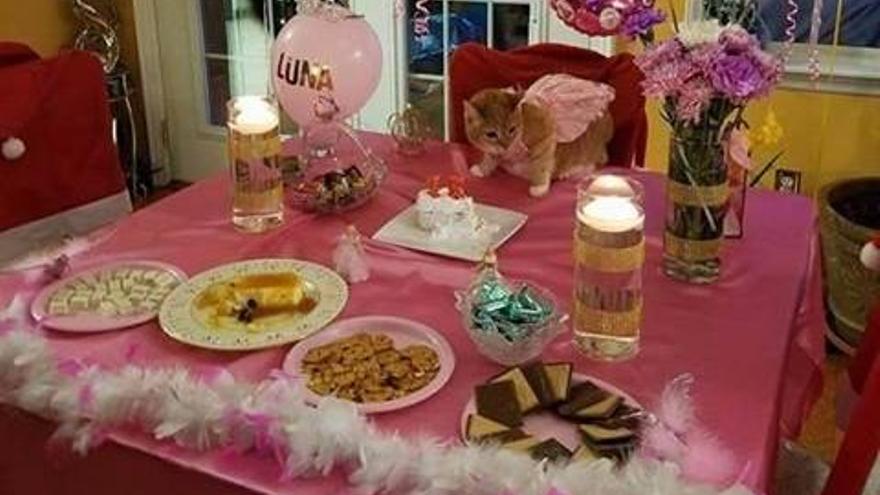 La fiesta contó con manteles rosas, muchos globos y flores.
