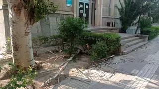 Tormenta seca en Zaragoza: 40 salidas de los bomberos en dos horas y media