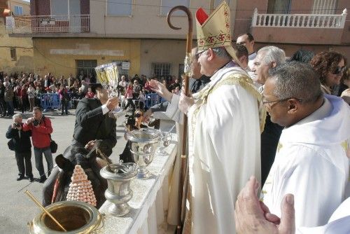 Bendición de animales en Cartagena por San Antón