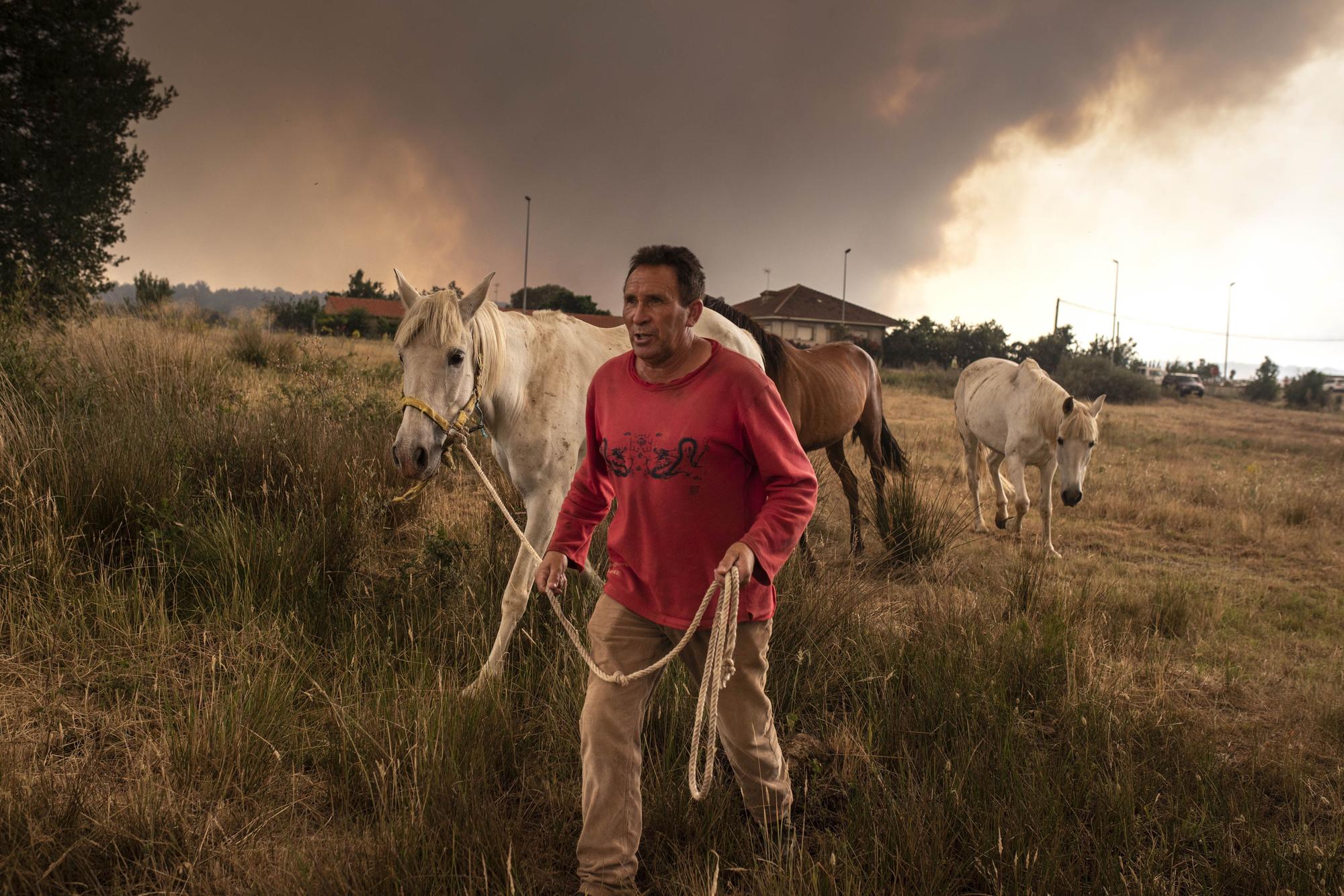 GALERÍA | El incendio de la Sierra de la Culebra, en imágenes