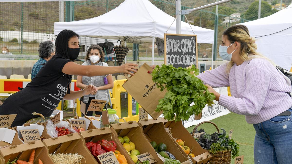 Puesto de frutas y verduras en la feria Enorte.