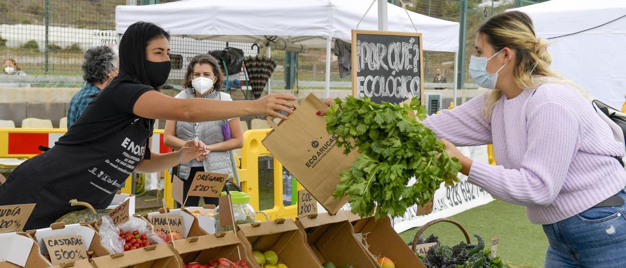 Segunda jornada de la feria empresarial Enorte en Arucas