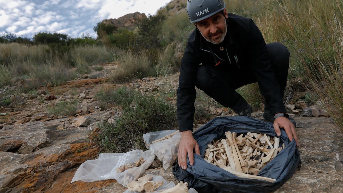 Restos humanos prehistóricos agrupados en un saco.