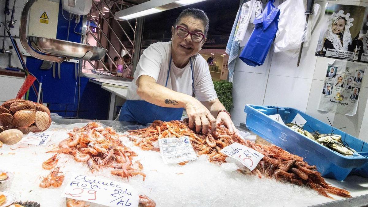 el calentamiento del mar reduce la pesca y altera las especies en Alicante