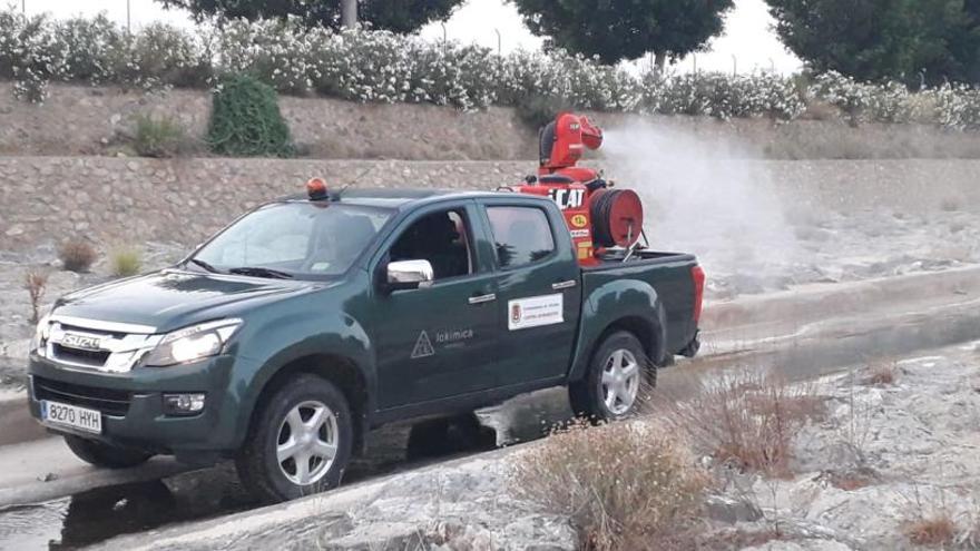 Labores de fumigación en la zona de la Albufereta