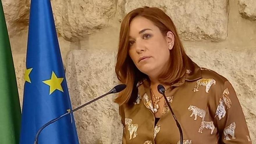 María Victoria Campos, concejala del PSOE en el Ayuntamiento de Córdoba.