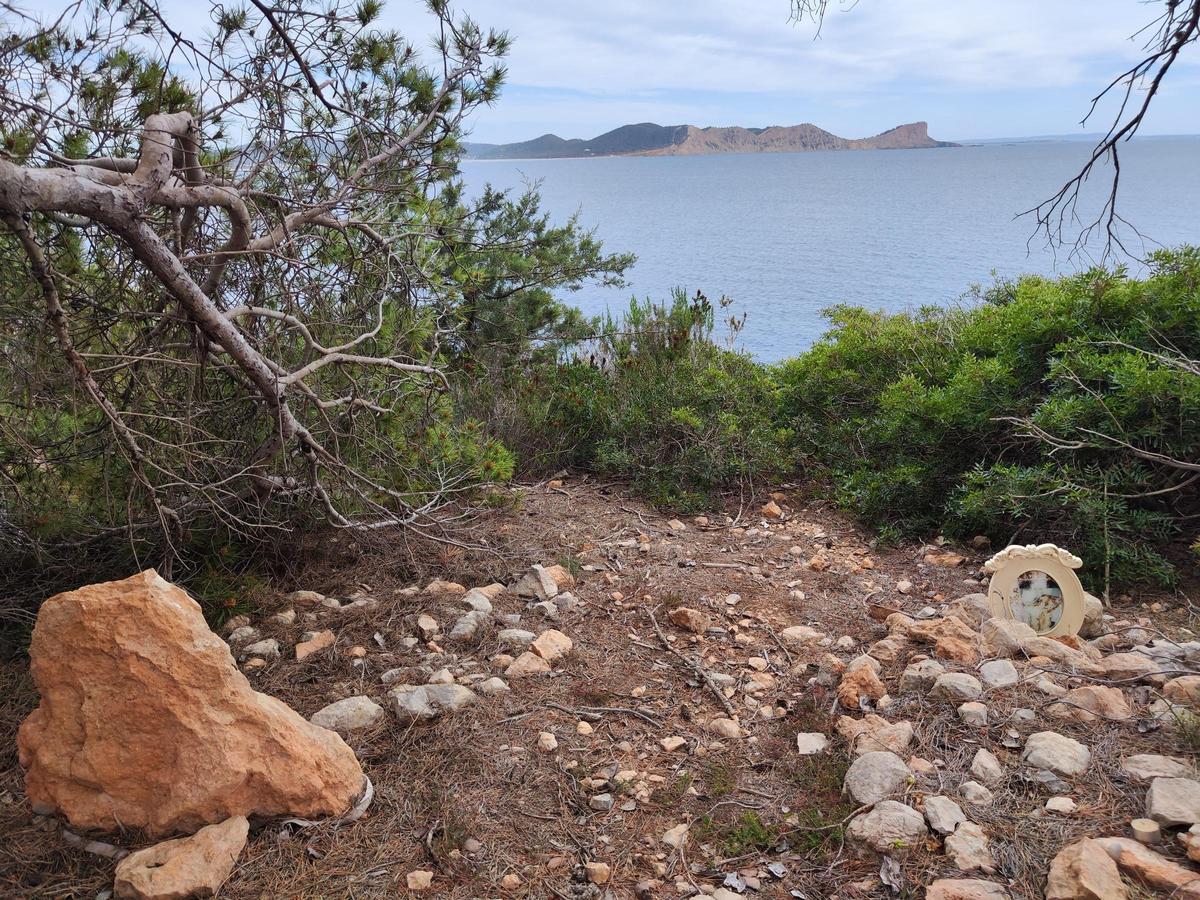 El cementerio ilegal de perros y gatos de sa Caleta en imágenes El cementerio ilegal de perros y gatos de sa Caleta en imágenes