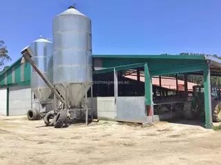 Luz verde ambiental para ampliar una explotación de vacuno en Mazaricos con la construcción de tres naves anexas
