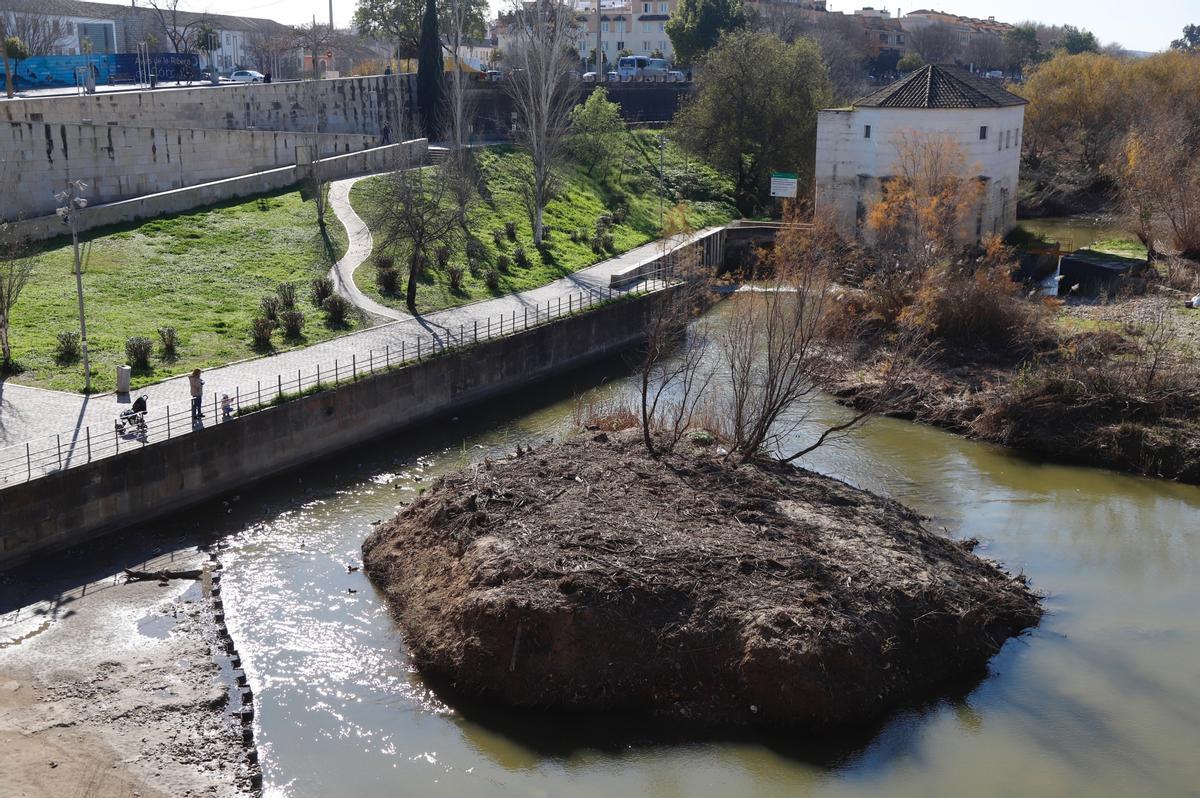 Imagen del islote ya limpio visto desde el Puente Romano.