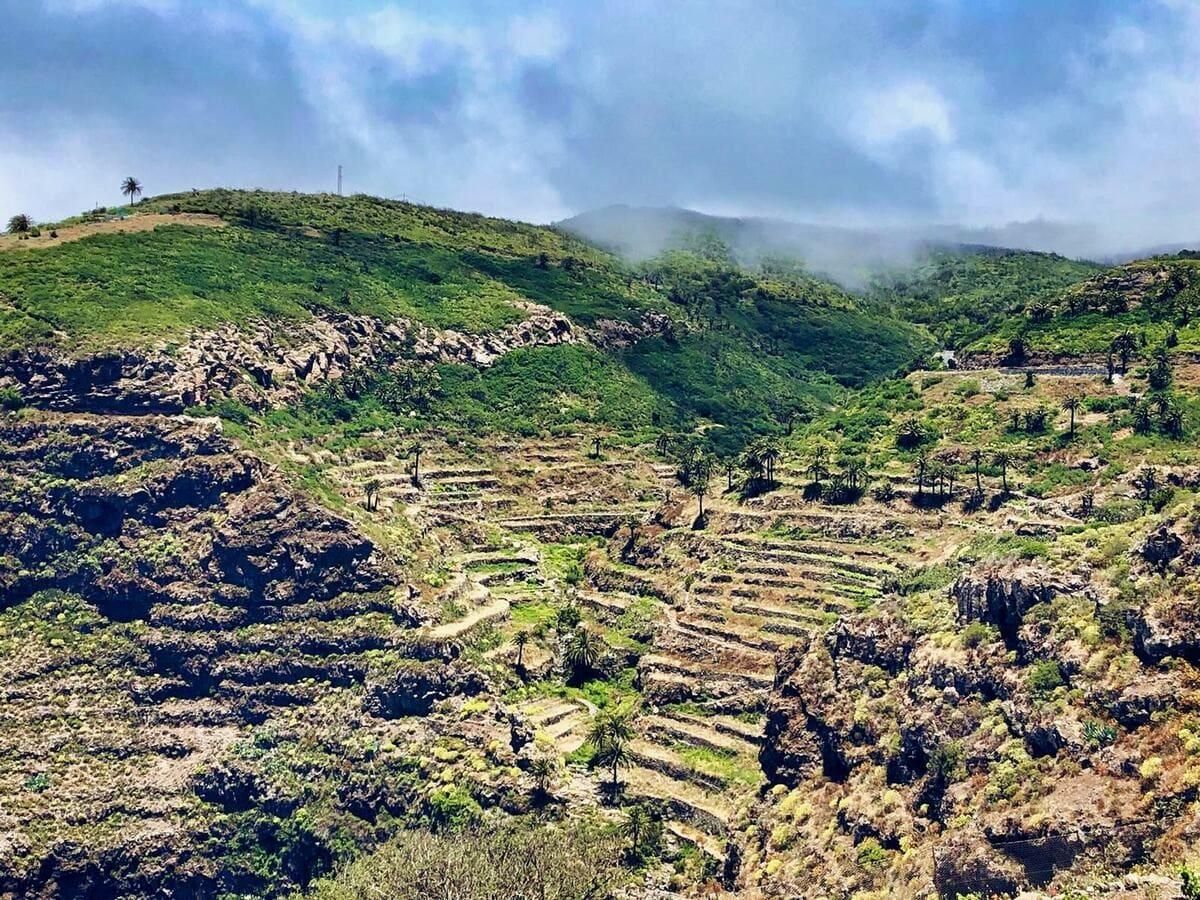 Bancales de La Gomera.