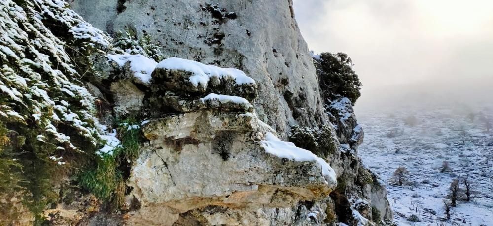 Primera nevada de la temporada en el Torrecilla.