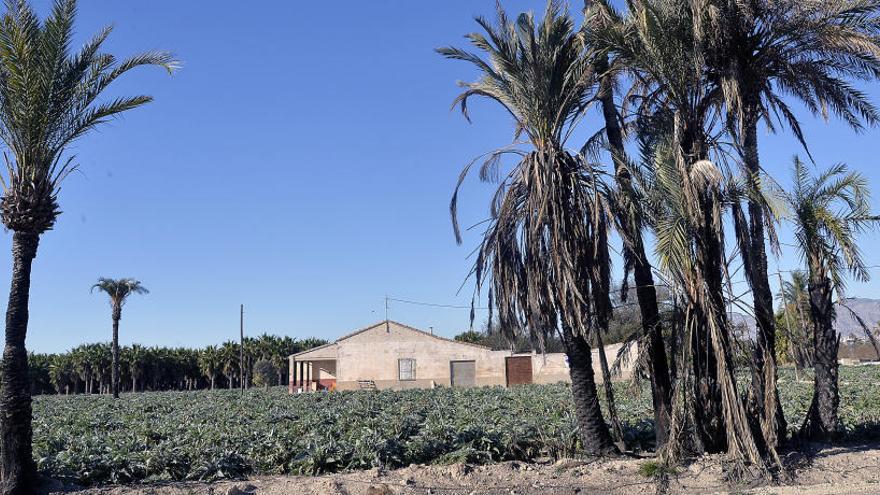 Cae un grupo criminal que robaba maquinaria agrícola en casas de campo en Elche