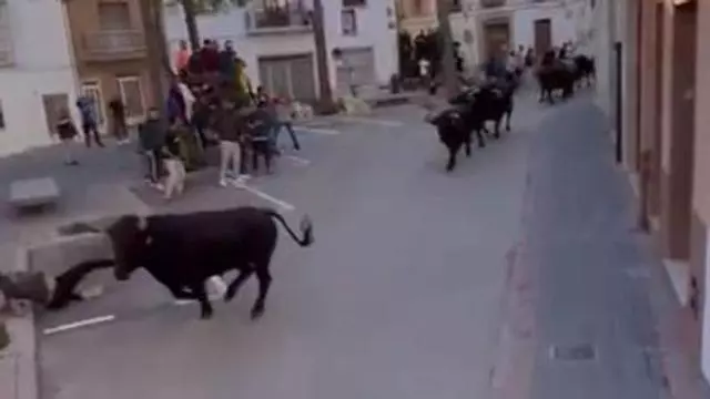 Así han sido las dos embestidas más graves en la entrada con 20 toros en Teulada (vídeo)