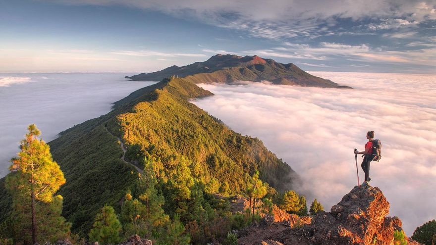 The City Council organizes a trip to La Palma