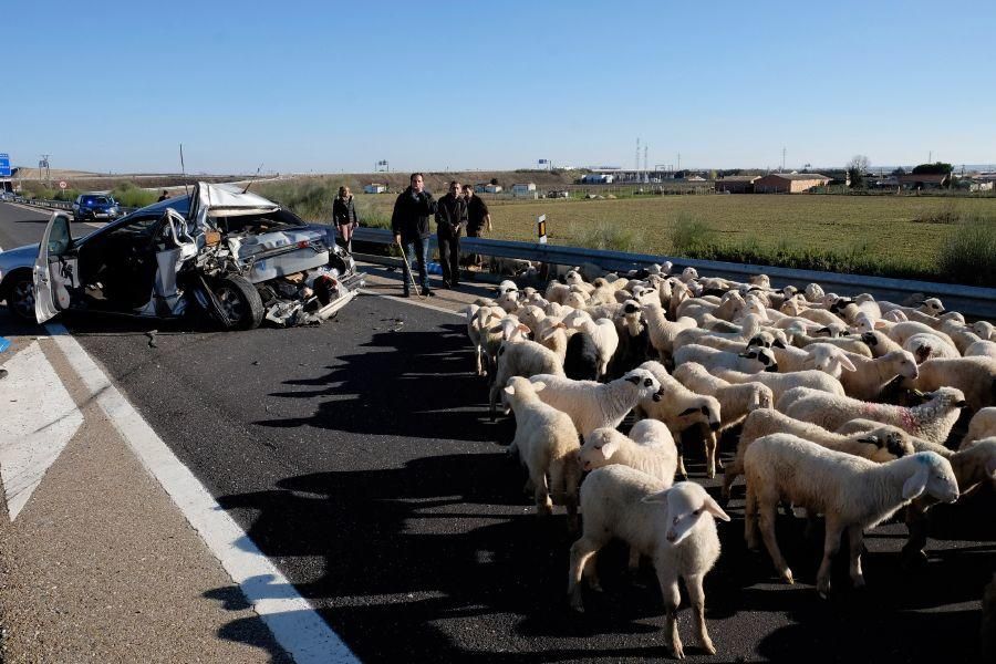 Accidente en la A-11