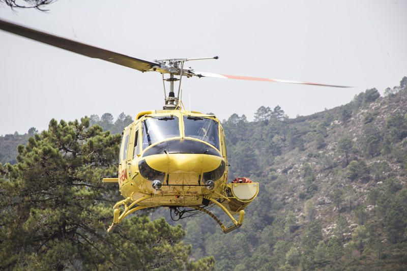 El paraje de El Surar, arrasado por el incendio