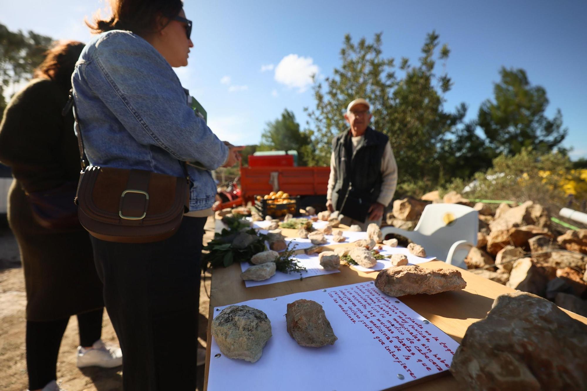 Galería: Reparación de la pared de piedra seca Joan d'en Micolau