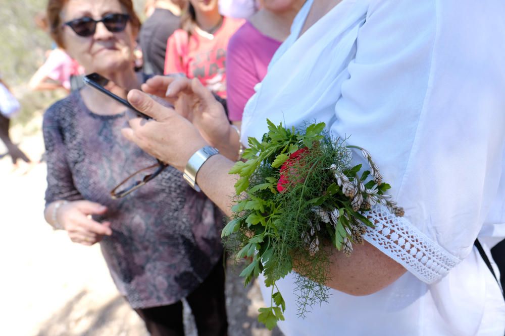 Sax celebra la tradicional romería de San Pancracio