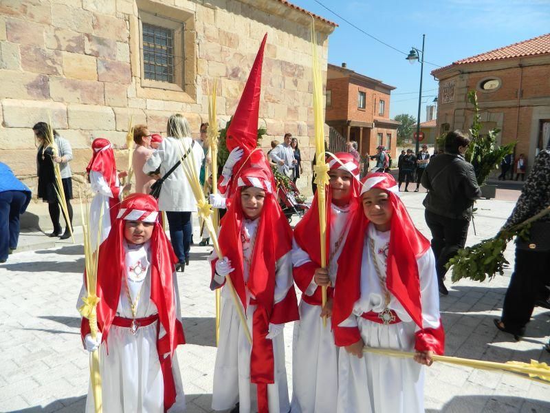 Procesión de Domingo de Ramos en Villaralbo