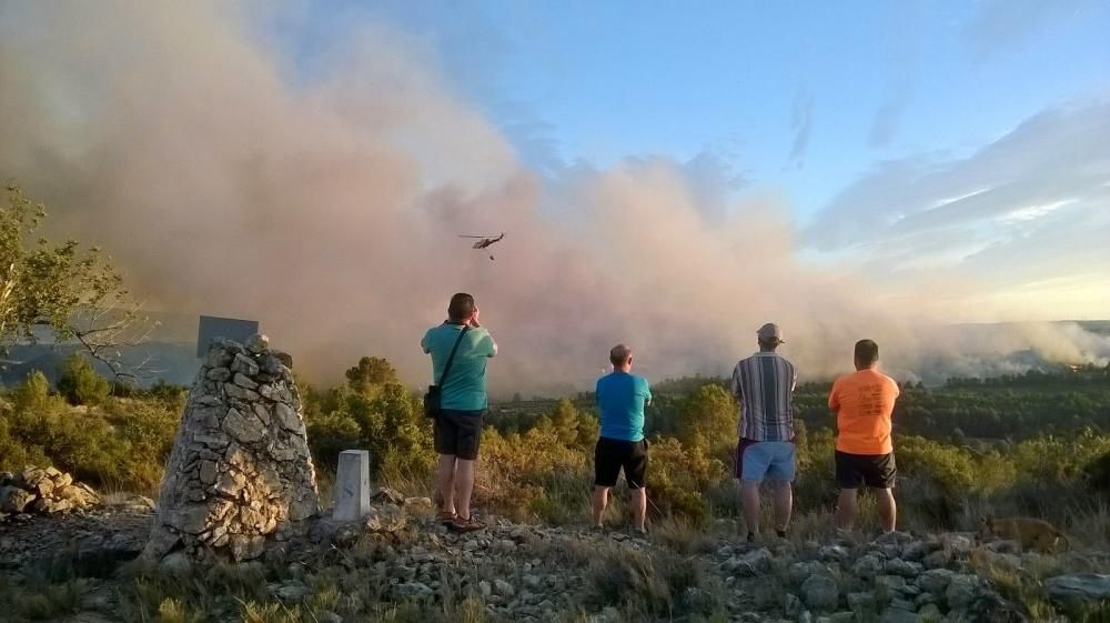 Incendio forestal en Bolbaite