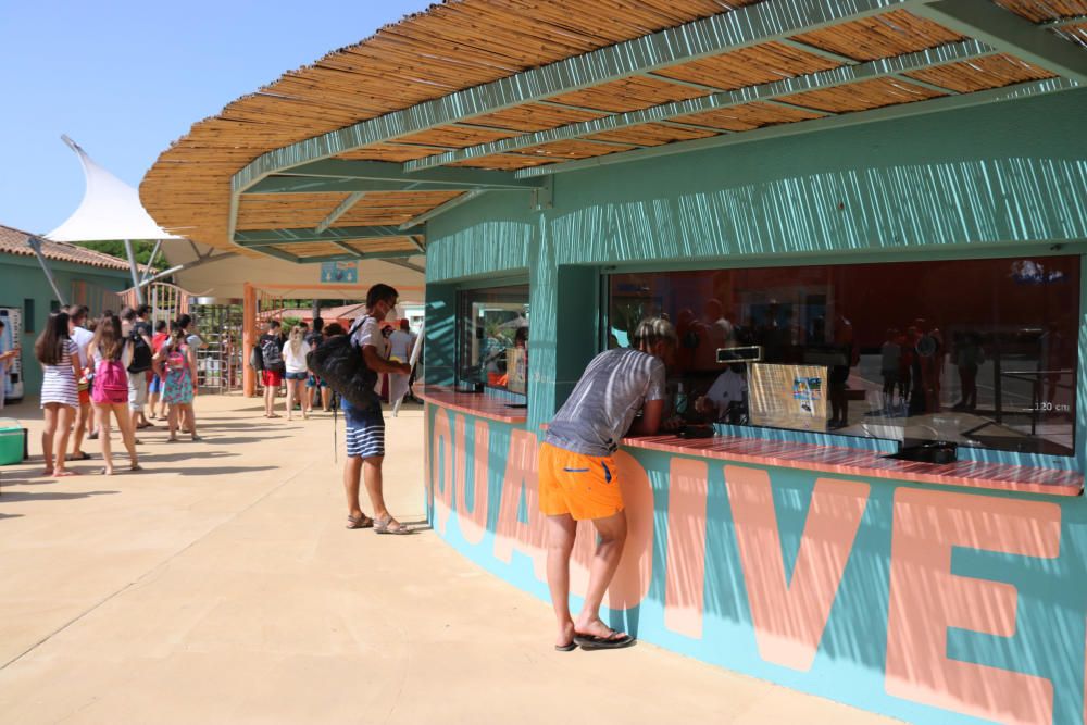 L''Aquadiver de Platja d''Aro obre les portes