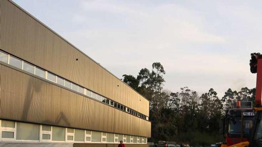 Trabajos en el entorno del polideportivo, ayer. // Muñiz