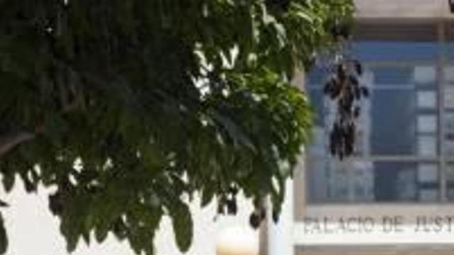 «La regulación de los vientres  de alquiler daría más beneficios que problemas»