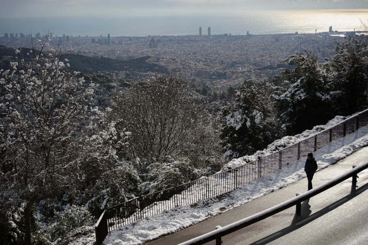 La nieve llega a Barcelona: Collserola, cubierta de blanco