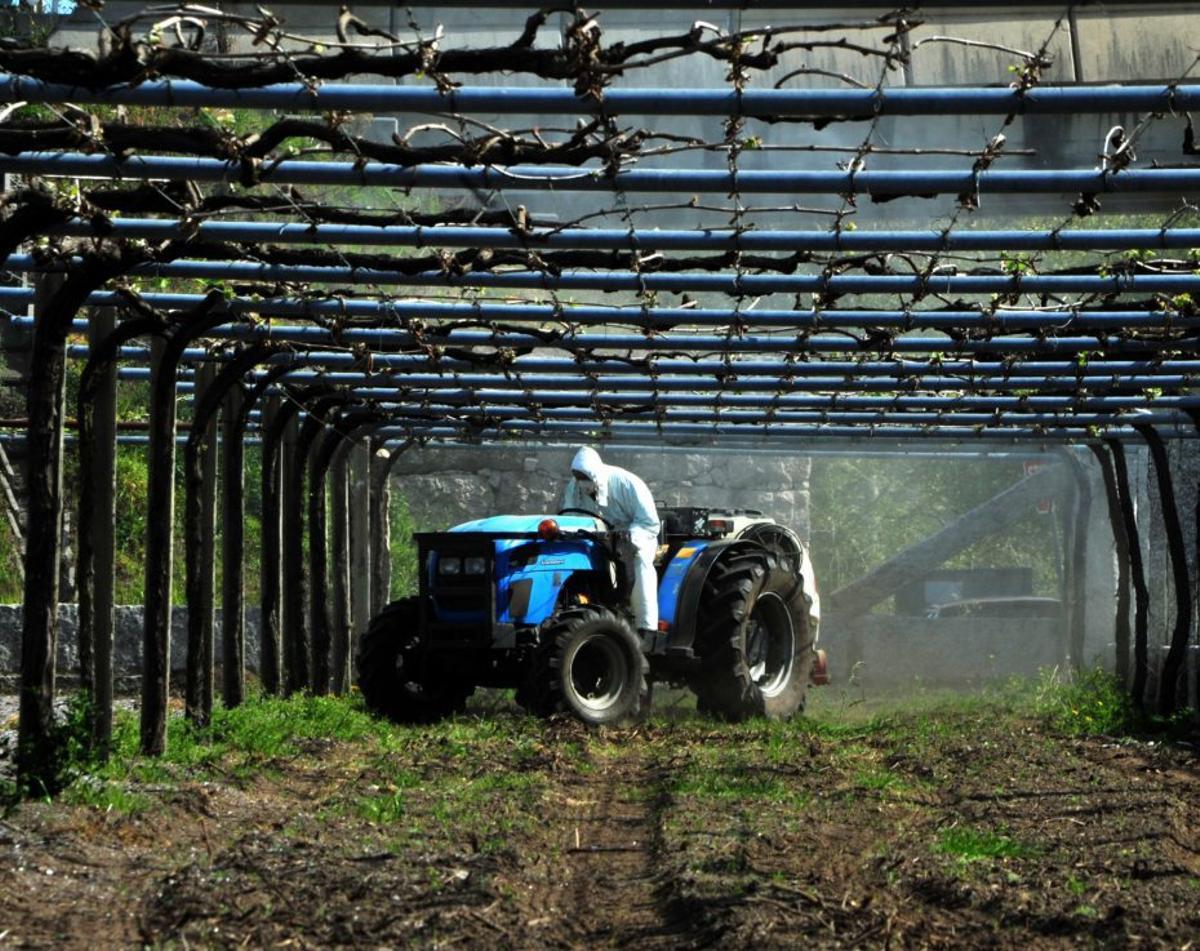 Un viticultor aplica un tratamiento al viñedo. | IÑAKI ABELLA