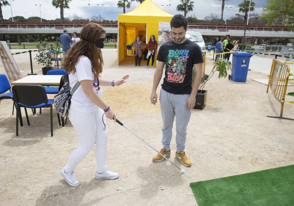 Primavera educativa en Valencia