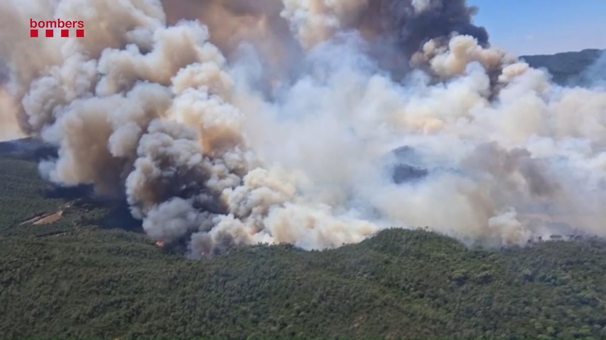 VÍDEO | Incendi a les Gavarres a la Bisbal d'Empordà