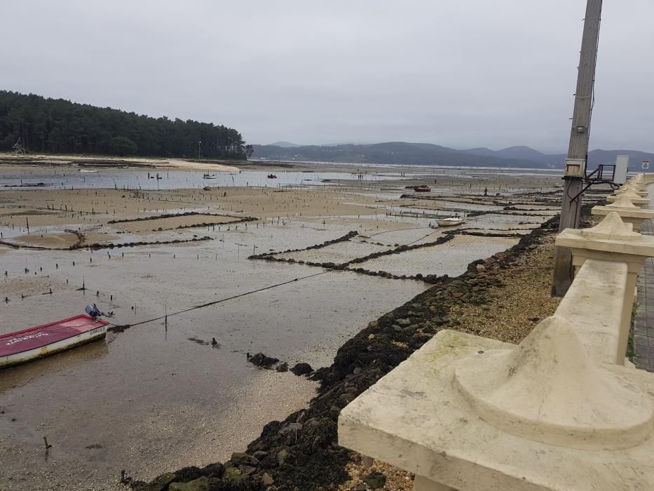 "Mareas vivas" en Galicia.