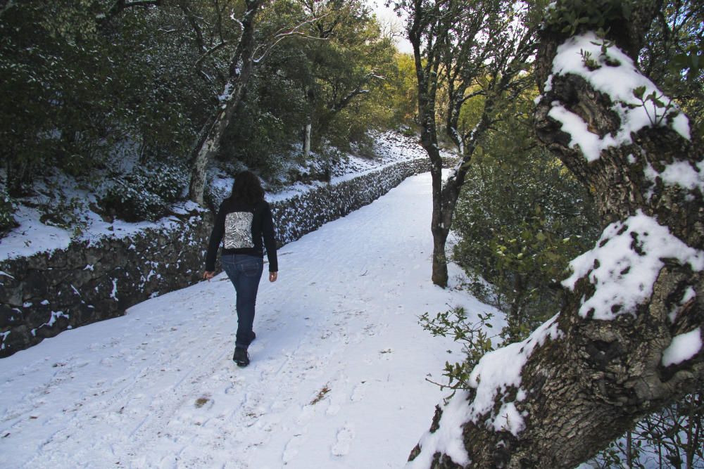 La nieve llega al interior de la provincia