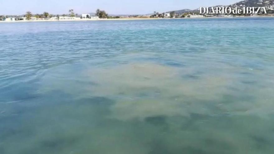 Vertido de fecales en Talamanca, Ibiza