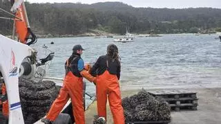 Los bateeiros afrontan nuevamente divididos uno de los momentos más críticos del sector