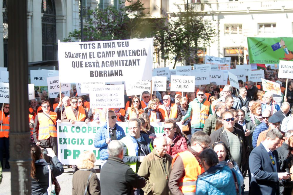 Manifestación en defensa del sector citrícola