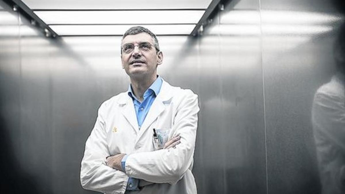 «Músculo artificial cardiaco podrá curar zonas de infarto»_MEDIA_1