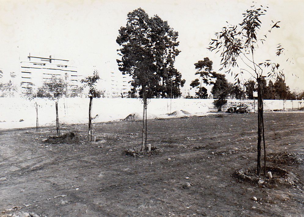 Así se transformó el viejo cauce del rio Turia en jardin