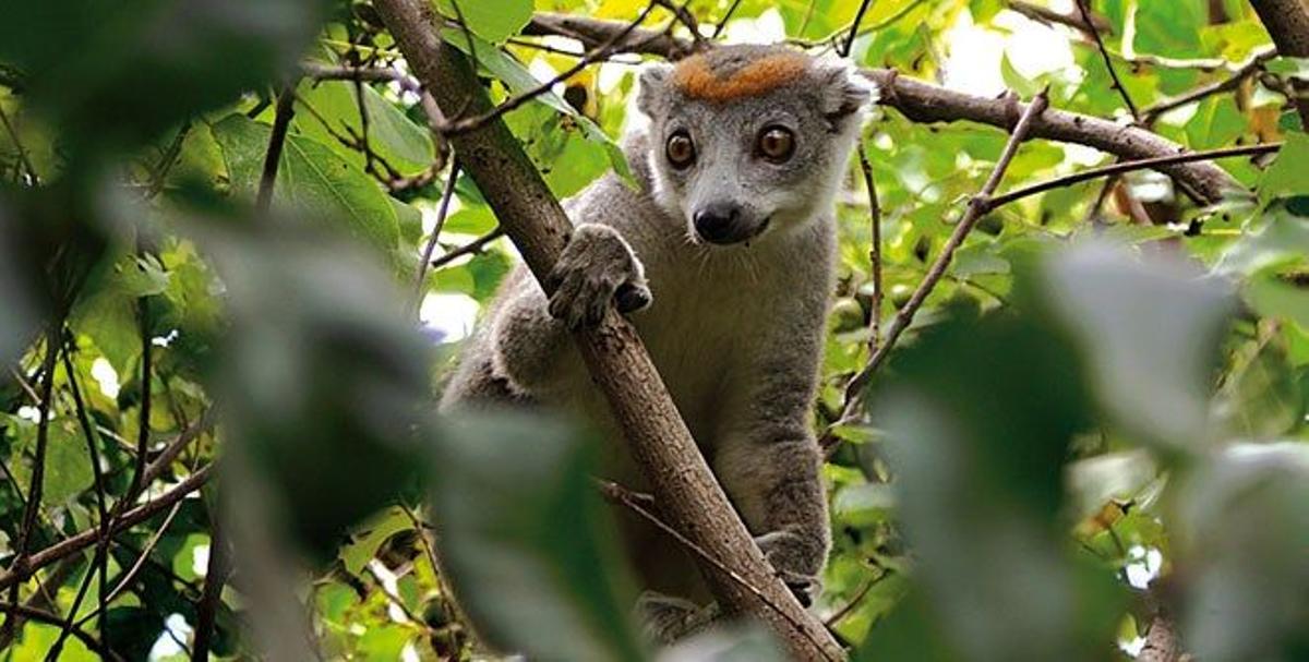 Zahamena, Madagascar