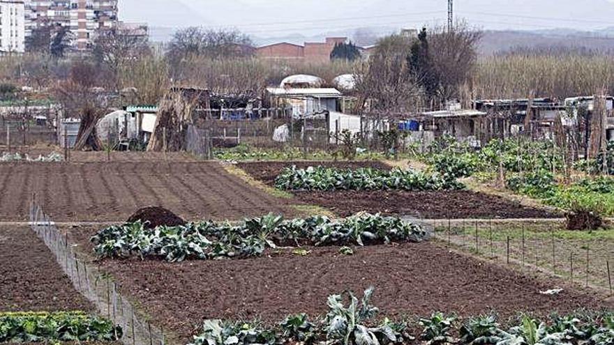 El possible vial passaria pel mig de les hortes per connectar la zona de Domeny i la Nestlé amb el parc Núria Terés i el terme de Salt.