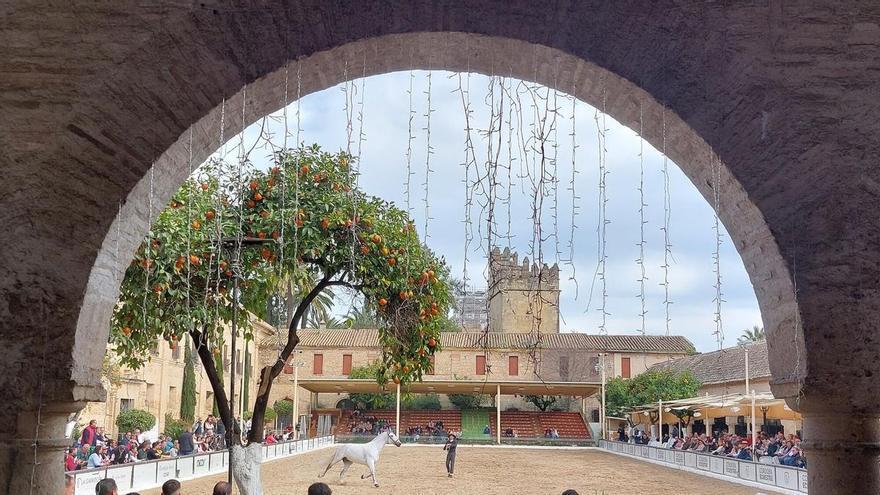 Hacemos Córdoba, el PSOE y el Consejo del Movimiento Ciudadano piden más control en la cesión de Caballerizas Reales