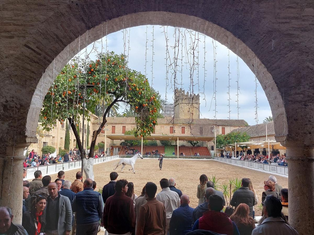 Imagen de archivo de un acto celebrado en Caballerizas.